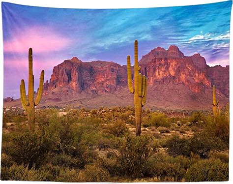 Beleco Arizona Desert Tapestry Wall Hanging Western Party