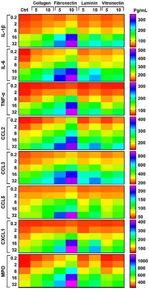 Figure From Substrate Stiffness Induces Neutrophil Extracellular Trap