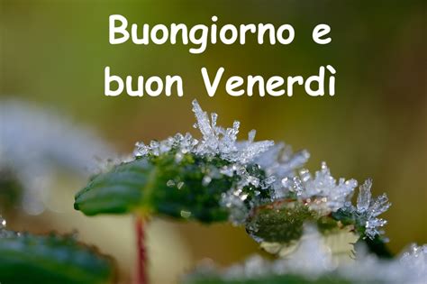 Buon Venerdì invernale immagini buongiorno Venerdì per l inverno