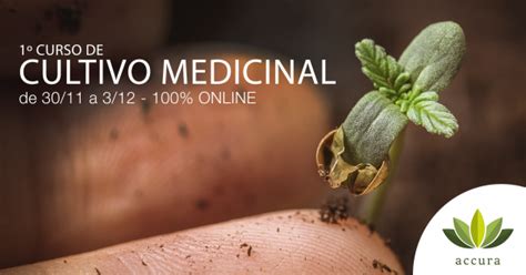 1º CURSO DE INTRODUÇÃO AO CULTIVO E EXTRAÇÃO DA ACCURA online Sympla