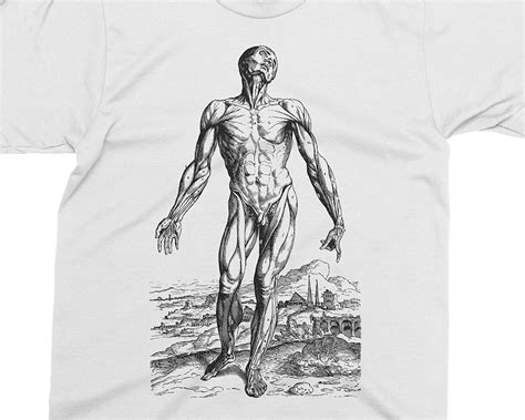 Skinless Man Muscles Andreas Vesalius T Shirt Gift For Etsy