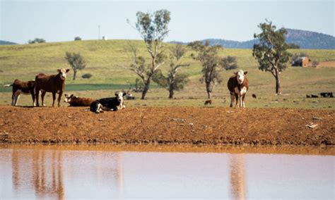 Australian Government Urged to Divert New Immigrants to Regional Areas ...