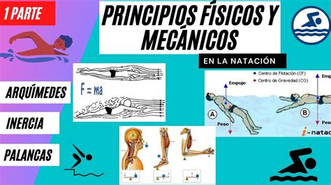 Principios Físicos y Mecánicos Arquímedes Inercia Palancas