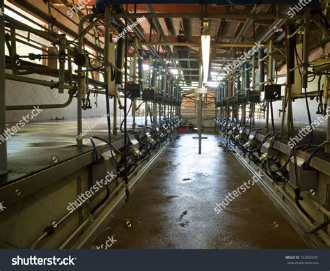 Automatic Milking System Cows Dairy Farm Stock Photo 742820281