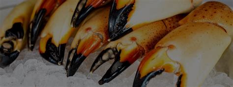 Florida Stone Crabs Fresh From Fl Keys Stone Crab Outlet