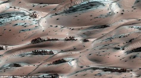 Muncul Penampakan Hutan Di Planet Mars