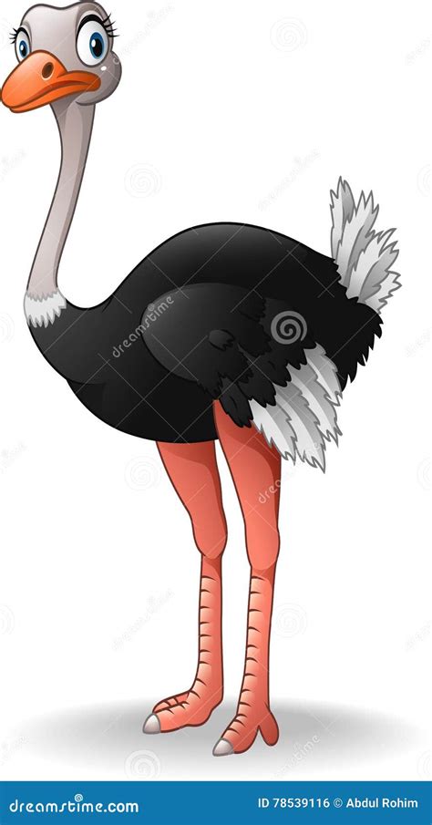 Cute ostrich cartoon stock vector. Illustration of creature - 78539116