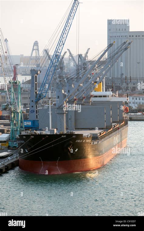 Dry Cargo Ship Cielo Di Tokyo Dwt Discharging Cargo Port Of