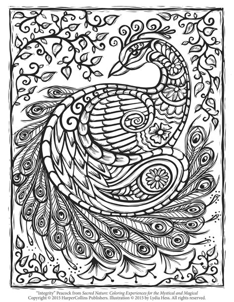 Adult Coloring Pages Peacock