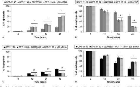 Figure 7 from The role of p38 in irinotecan-induced DNA damage and ... 