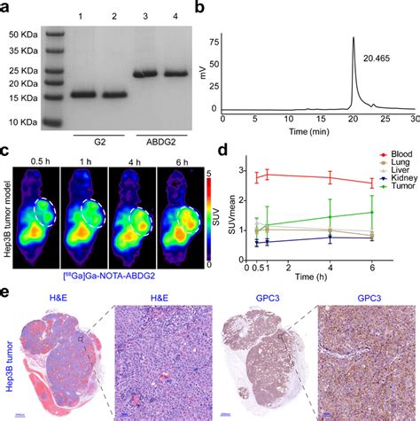 Ga Ga Nota Abdg Immunopet Imaging Of Subcutaneous Hepatocellular