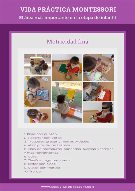 Todo Sobre Lo M S Importante En Infantil Vida Pr Ctica Montessori