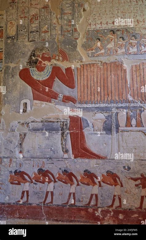 Scenes From The Tomb Of Mehu Saqqara Egypt Stock Photo Alamy