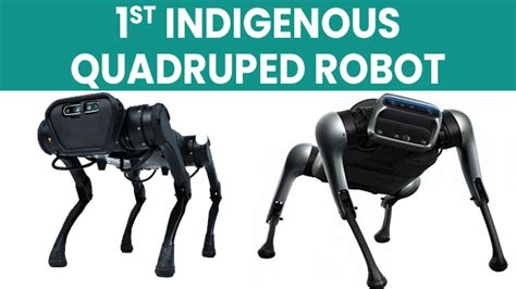 St Indigenous Quadruped Robot