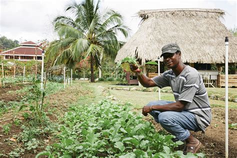 Copal Tree Farm | Copal Tree Lodge | Organic On-Site Farm