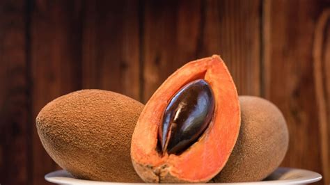 Huerto De Mamey En Maceta As Puedes Cultivarlo De Manera Sencilla Y