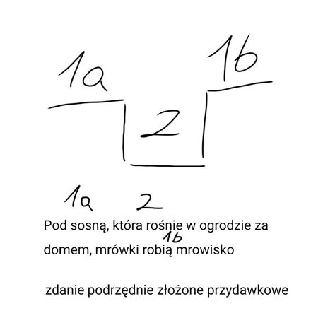 Zrobi Kto Wykres Zdania Pod Sosn Kt Ra Ro Nie W Ogrodzie Za Domem