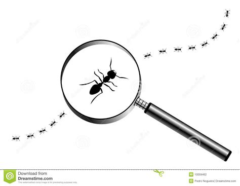 Ants Marching Clipart - Clipart Suggest