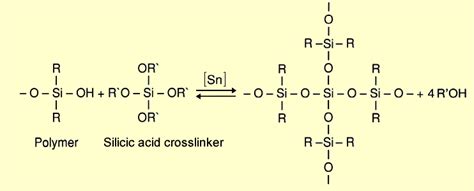 Crosslinking And Modification Of Silicones