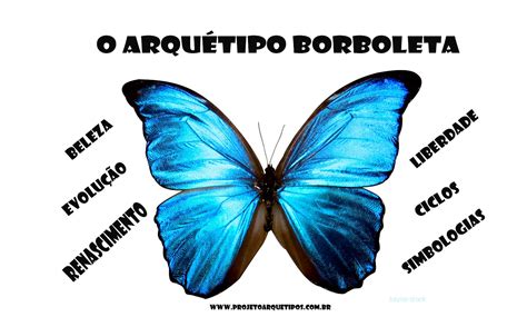 Significado Da Borboleta E Espiritualidade