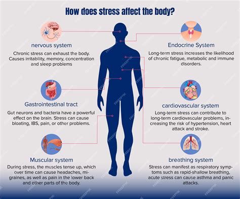 How does stress effect human body | Premium Vector