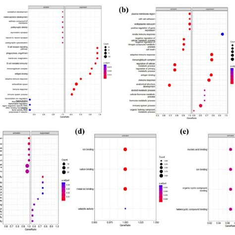 Functional Pathway Analysis Of Differentially Expressed Genes A