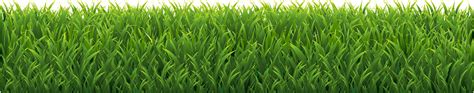 Grass Border Isolated White Background Stock Illustration - Download ...