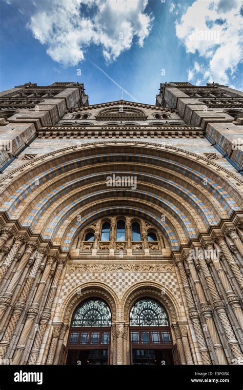 National History Museum London Stock Photo - Alamy