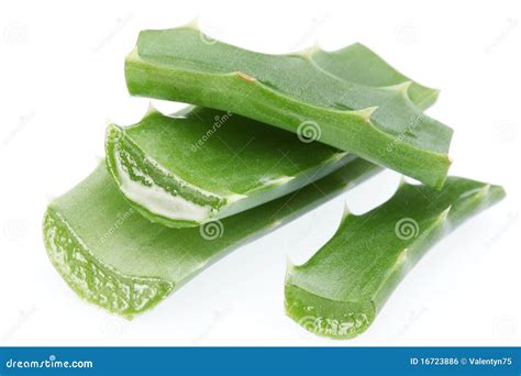 Pieces Of Aloe Vera Stock Photo Image Of Shiny Care