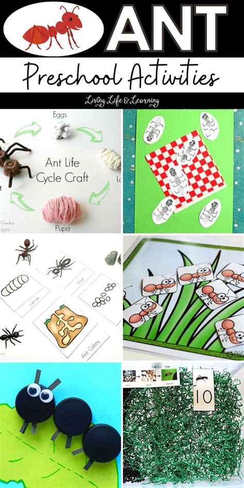 Ant Preschool Activities