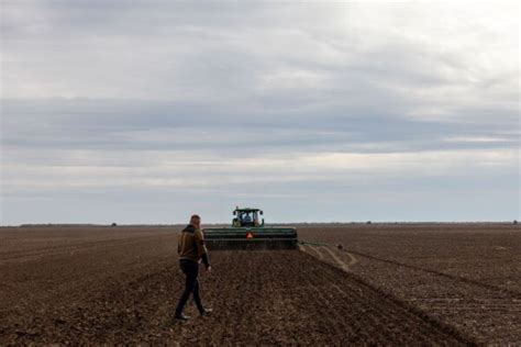 I Collected Mines From A Thousand Hectares How Farmers Sow