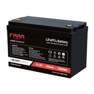 Batteria Al Litio Ferro Fosfato V Ah Lifepo Con Bms Smart Faam