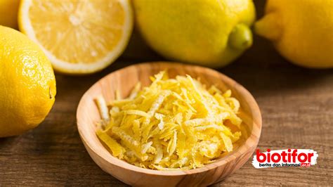 Manfaat Kulit Lemon Rahasia Kesehatan Yang Tersembunyi Biotifor