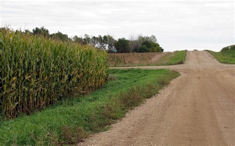 Safety Reminders With Tall Corn At Intersections Raccoon Valley Radio