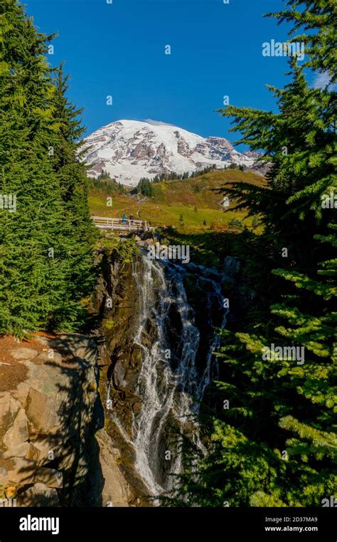 View Of Mount Rainier And Myrtle Falls At Paradise In Mt Rainier