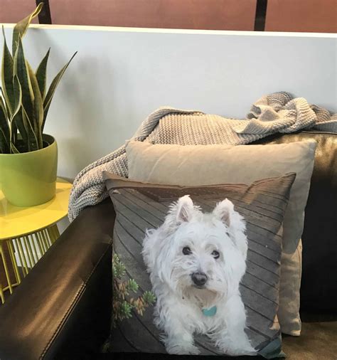 Pillow Pet Australia Luxury Photo Pillows And Cushions