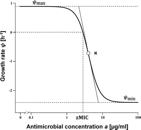 Time Kill Curve Analysis And Pharmacodynamic Modelling For In Vitro