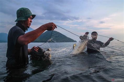 Menangkap Ikan Dengan Alat Tangkap Tradisional ANTARA News