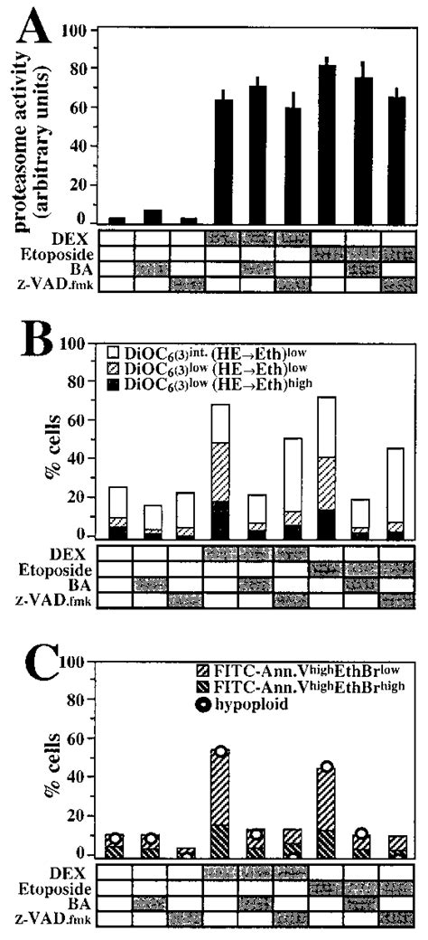 Effect Of Ba And The Caspase Inhibitor Z Vadfmk On Proteasome Download Scientific Diagram