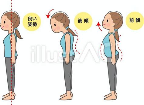 vectors women  stand  good posture  women  stand
