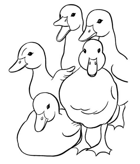 Duck Template Animal Templates Free And Premium Templates