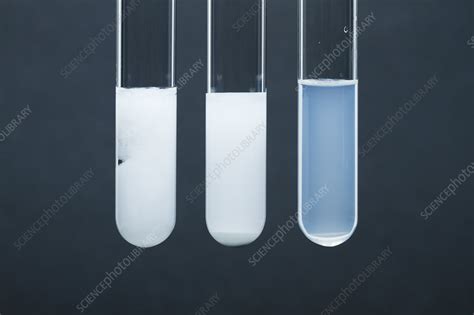 Sulphate Precipitates Stock Image C0307137 Science Photo Library