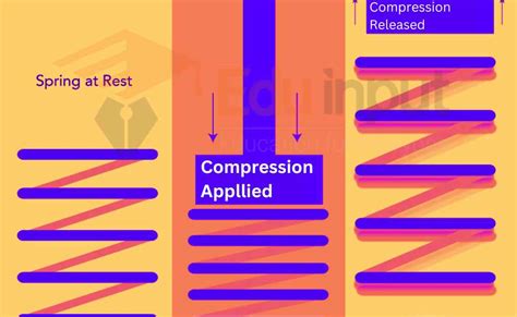 Compression Force-Definition, Effect, Uses, And Examples