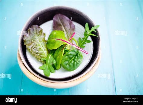 Baby Leaf Salad Fotos Und Bildmaterial In Hoher Aufl Sung Alamy