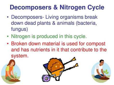 7th Grade Curriculum Life Science Classification Of Organisms Ppt Download