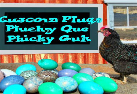 What Color Eggs Do Blue Plymouth Rock Chickens Lay