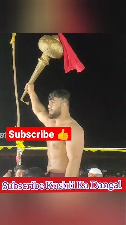 Sikandar Shaikh Celebration 🔥 Shorts Wrestling Viral Kushti Ytshorts कुस्ती Shortsfeed