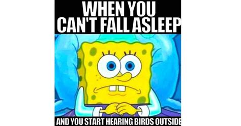 Funny Insomnia Memes Laughs When You Can T Sleep