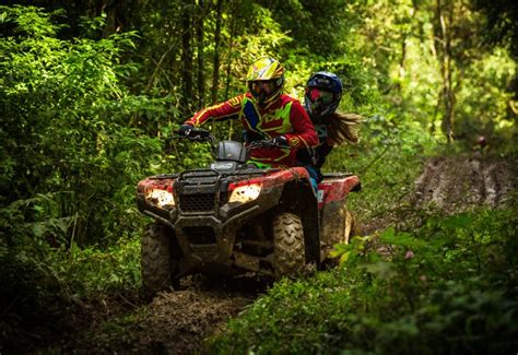 Day Outing At Jain Farms Bangalore Todays Offer Rs1298 14 Off