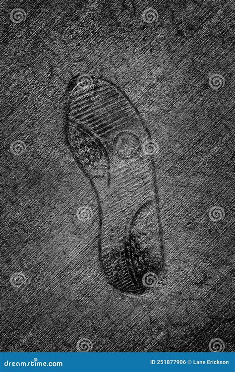 Footprint In Cement Walking On Wet Concrete Stock Photo Image Of Step